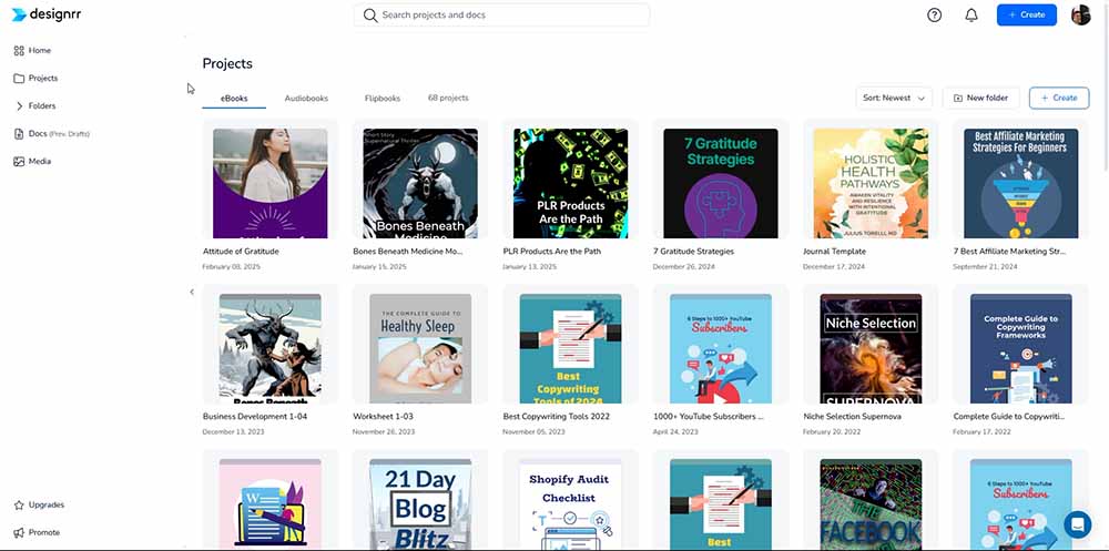 Designrr dashboard showing variety of ebooks and pdf lead magnets i created
