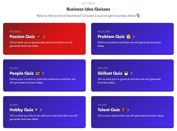 nichesss business idea quizzes